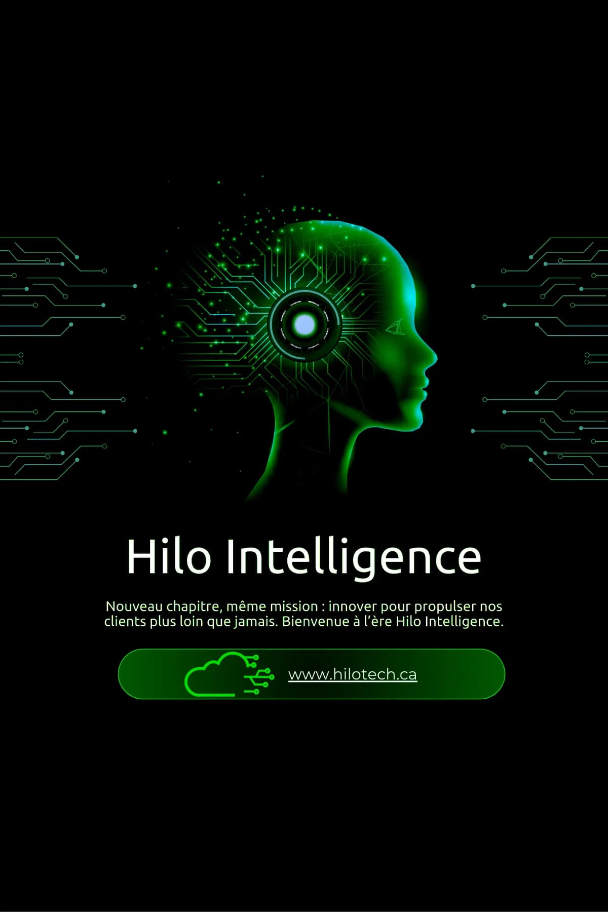 Our New Division: Hilo Intelligence